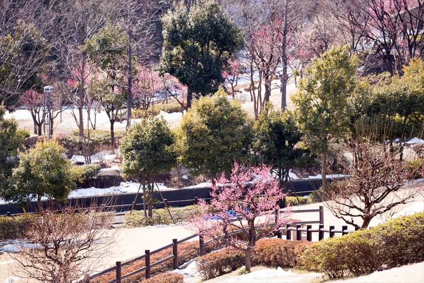 e0305388_1913262.jpg