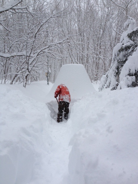 豪雪（2月14日〜17日までのこと）_d0028589_20275249.jpg