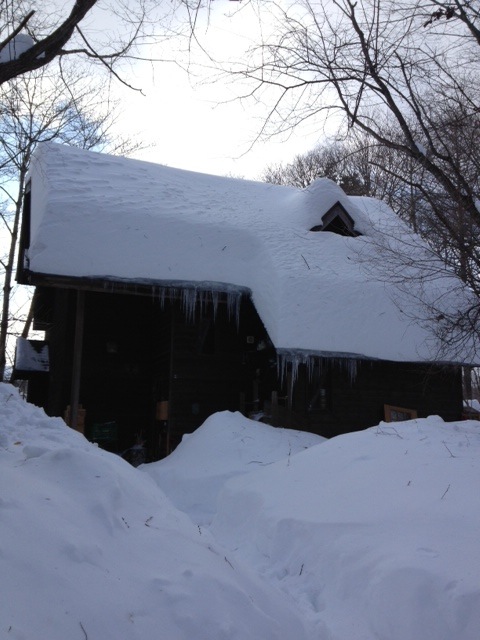 豪雪（2月14日〜17日までのこと）_d0028589_2032337.jpg