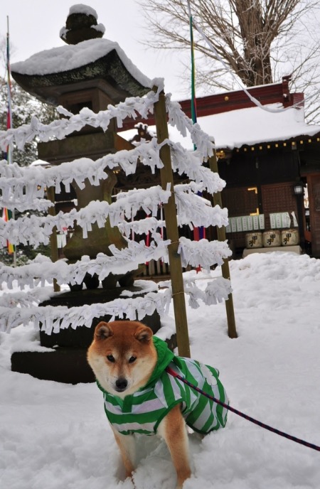 日本的風景 The \"Japanese\" scenery_a0126590_21482080.jpg