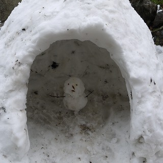 雪、雪の南河内でした。_a0233896_23424130.jpg