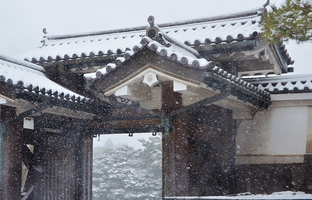 雪の皇居東御苑_a0169902_7353367.jpg