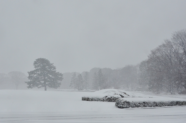 雪の皇居東御苑_a0169902_7372416.jpg