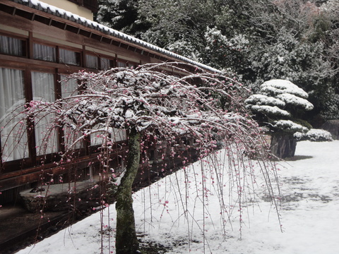 雪のひなもり_b0172502_17543426.jpg