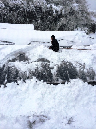 信じられない量の雪が降ってハウス潰れました。_d0072903_858317.jpg