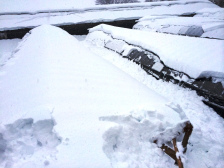 信じられない量の雪が降ってハウス潰れました。_d0072903_858862.jpg