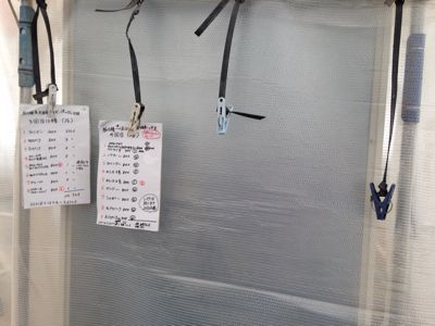 種蒔きです_d0099708_1732349.jpg