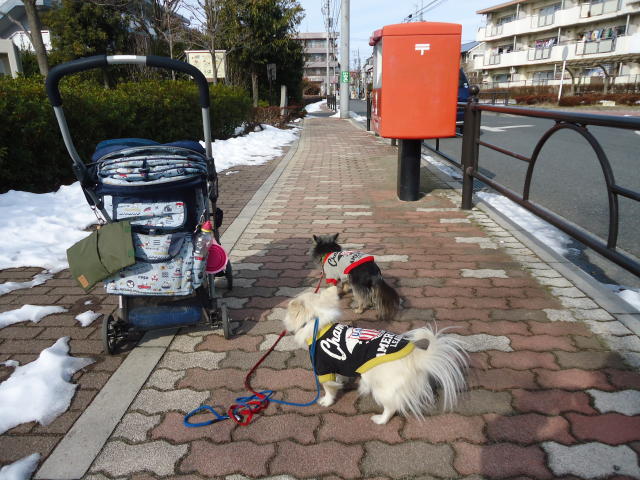b0312810_15333498.jpg