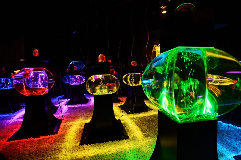 アートアクアリウム展 ~大阪・金魚の艶~ 其の四_f0032011_19374568.jpg