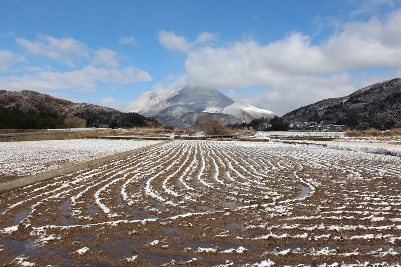 由布岳　2/19_d0065113_13374341.jpg