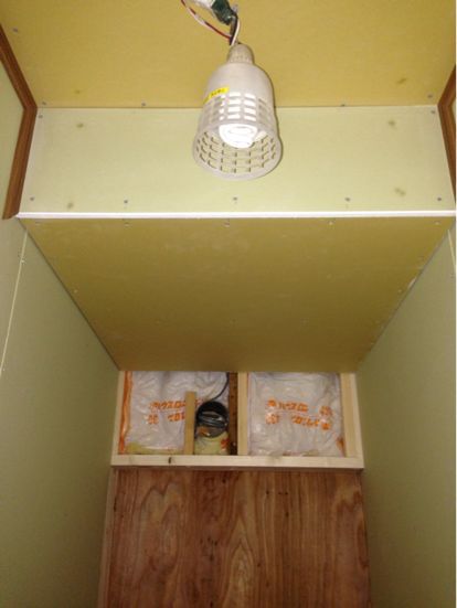 e0034013_2175611.jpg