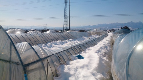 前橋市が大雪被災住宅復旧支援金・見舞金制度を創設_e0260114_22135127.jpg