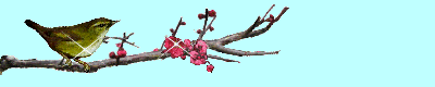 a0098027_10362524.gif