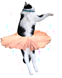 a0098027_10394282.gif