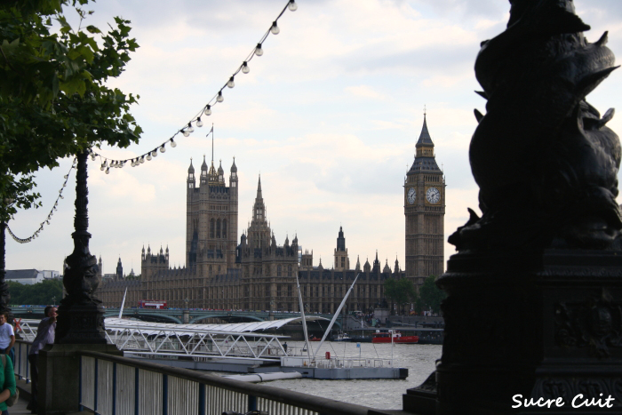 River. Thames　テムズ川_c0127227_21364918.jpg