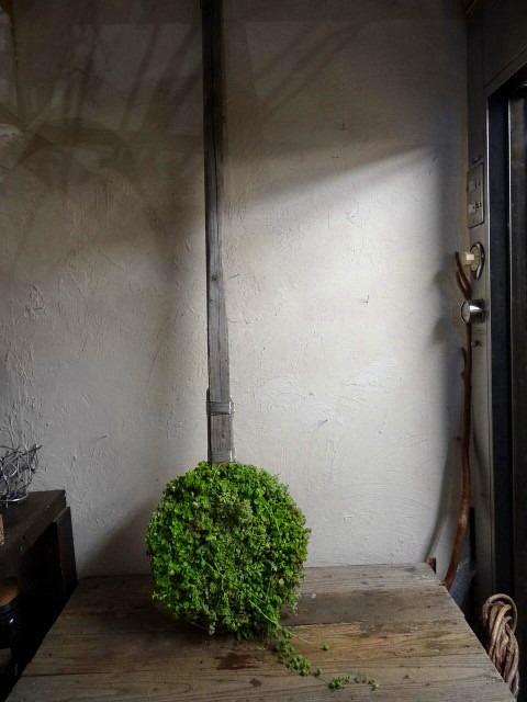 ボトル_c0102228_22191637.jpg