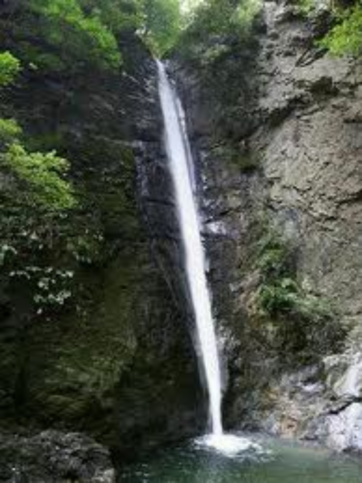 e0033229_22314793.jpg