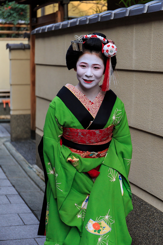 ステンレス製 ほっこり舞妓の毛抜き かわいい やぼったい