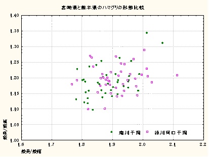 宮崎と熊本のハマグリの形態比較_e0094349_11383123.jpg