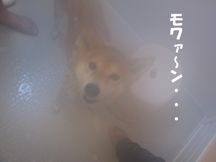 f0245650_09490075.jpg