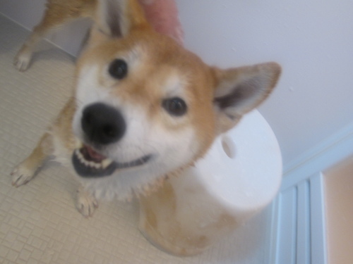 f0245650_09512744.jpg