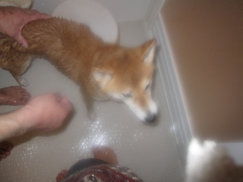 f0245650_09524279.jpg