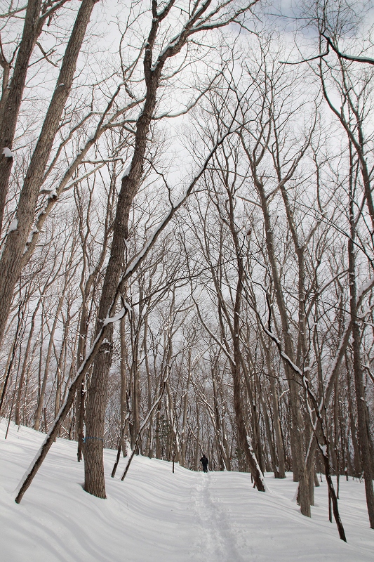 b0250154_22512769.jpg