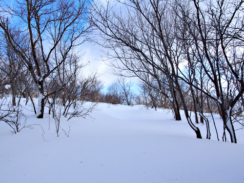 ★ロイン亭 ★有珠山 ★測量山 ★大王_e0105954_1471161.jpg