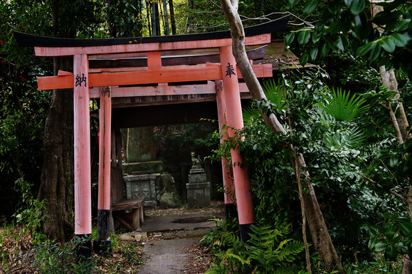 京都の密かな名所、嵐山から「鳥居本」へ_c0257955_18241926.jpg