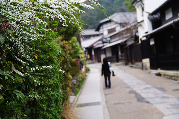 京都の密かな名所、嵐山から「鳥居本」へ_c0257955_18243972.jpg