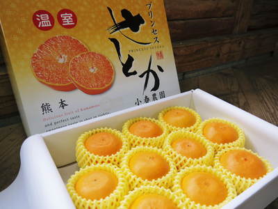 究極の柑橘「せとか」 初収穫!&「プリンセスせとか」初出荷!! その2(今年の味は?)_a0254656_1723388.jpg