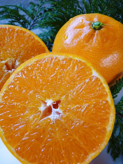 究極の柑橘「せとか」　初収穫！＆「プリンセスせとか」初出荷!!　その２（今年の味は？）_a0254656_17491153.jpg