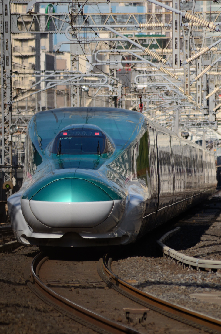 ◇〔東北・上越新幹線 撮影〕◇ 【 新幹線の顔 】 : ツッチ～の