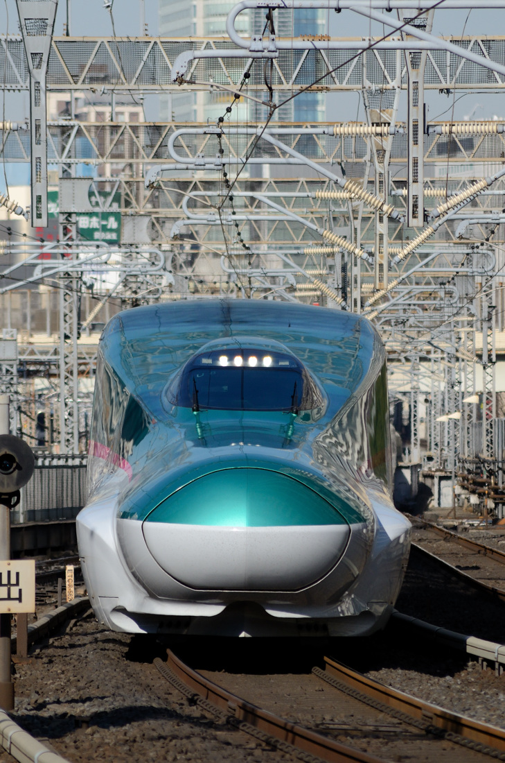 ◇〔東北・上越新幹線 撮影〕◇ 【 新幹線の顔 】 : ツッチ~の ◇〔東北・上越新幹線 撮影〕◇ 【 新幹線の顔 】 : ツッチ~の