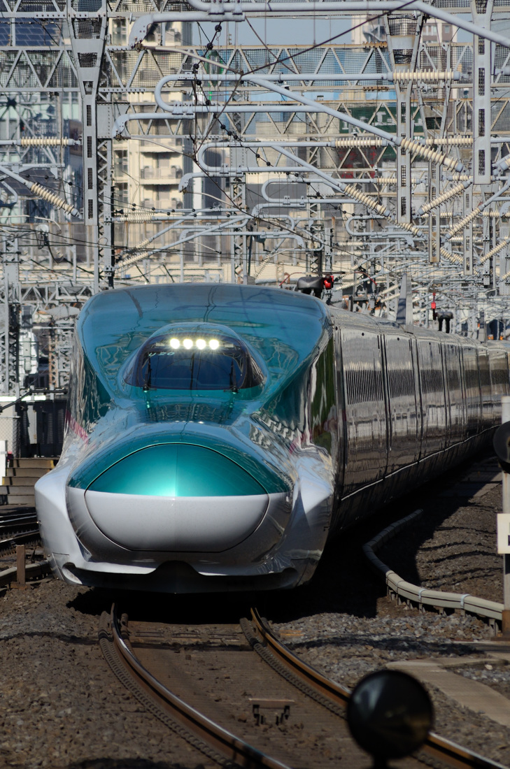 ◇〔東北・上越新幹線 撮影〕◇ 【 新幹線の顔 】 : ツッチ～の
