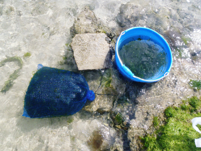 c0180460_222743.jpg