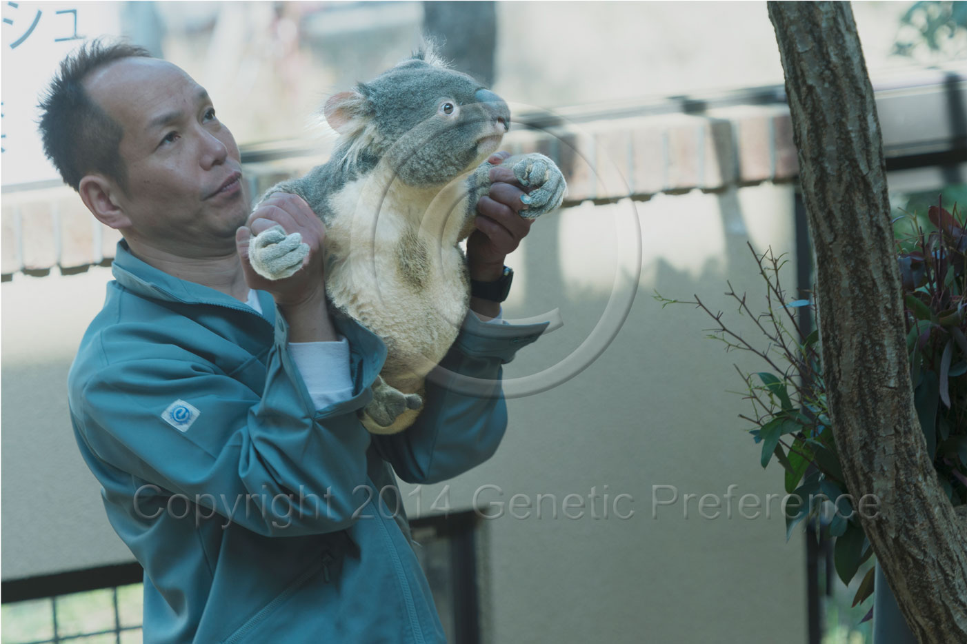 王子動物園2014.Feb. Vol.7_a0111162_14345088.jpg