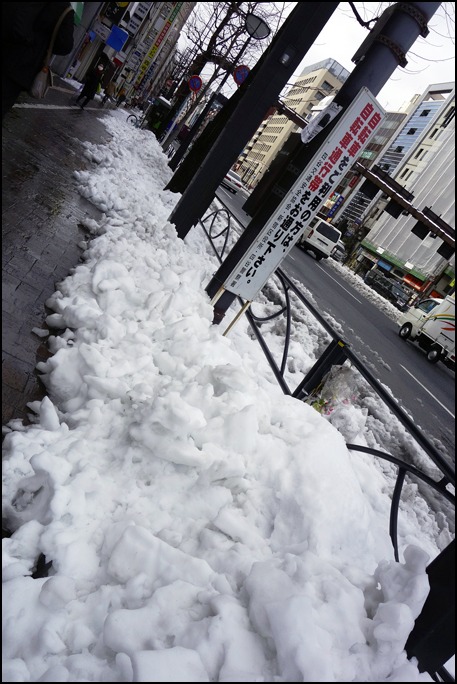 雪がとけない寒い東京_a0031363_2251955.jpg