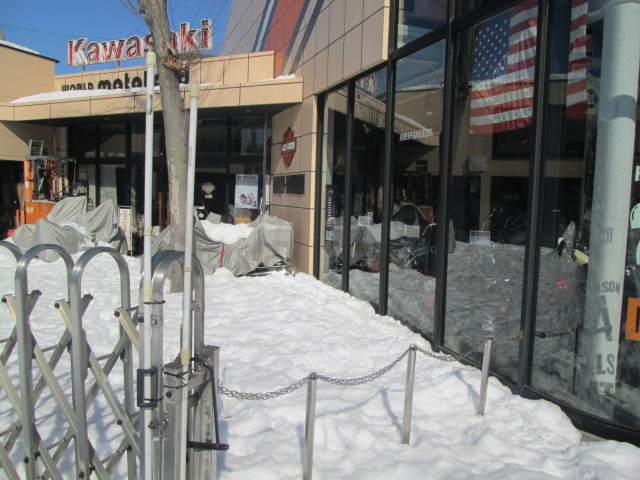 なんだ・・・この予想以上の大雪_e0189265_11533190.jpg