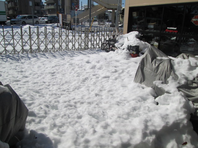 なんだ・・・この予想以上の大雪_e0189265_11534375.jpg