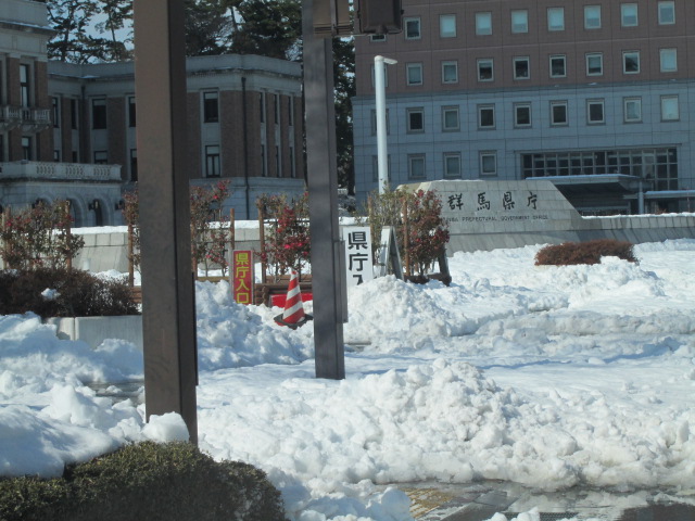 なんだ・・・この予想以上の大雪_e0189265_11551118.jpg