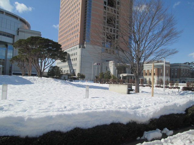 なんだ・・・この予想以上の大雪_e0189265_11561662.jpg