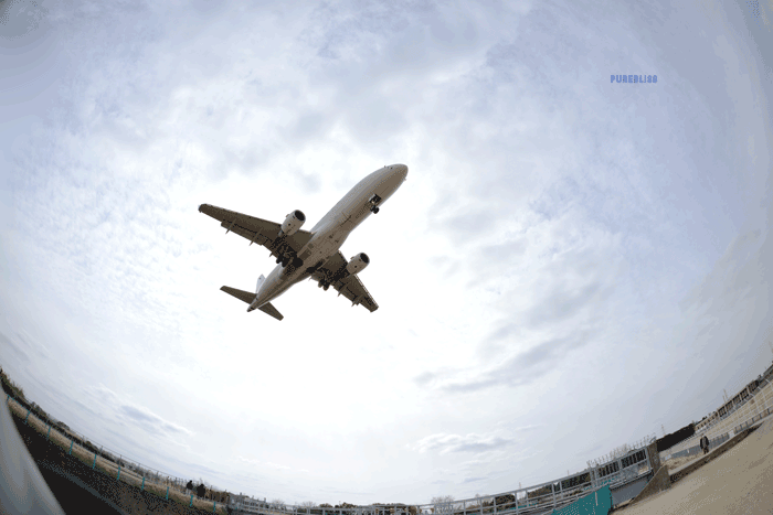b0243873_18445007.gif