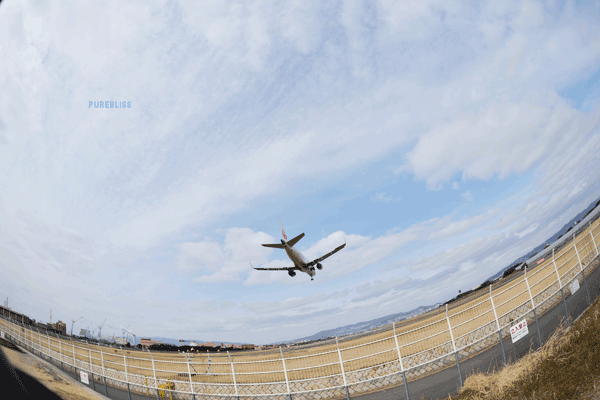 b0243873_18472450.gif