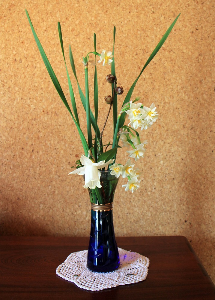 折れた水仙は花瓶で活かします 成長する家 つれづれ日記 折れた水仙は花瓶で活かします 成長する家 つれづれ日記