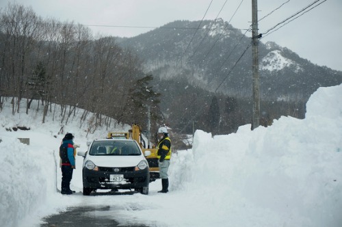 閉ざされた村 1：猫_a0180681_2313140.jpg