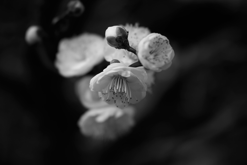 c0059485_01177.jpg
