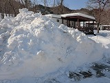 ぜんぶ雪のせいだ!_b0219993_1625441.jpg