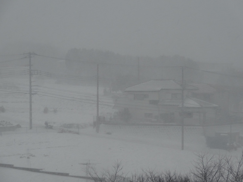 ８日（土）の横浜は大雪でした。_c0225997_0112672.jpg