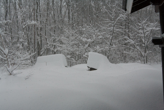 2/15 山梨県下記録的大雪、まさかここまで降るとは_c0137403_16212989.jpg